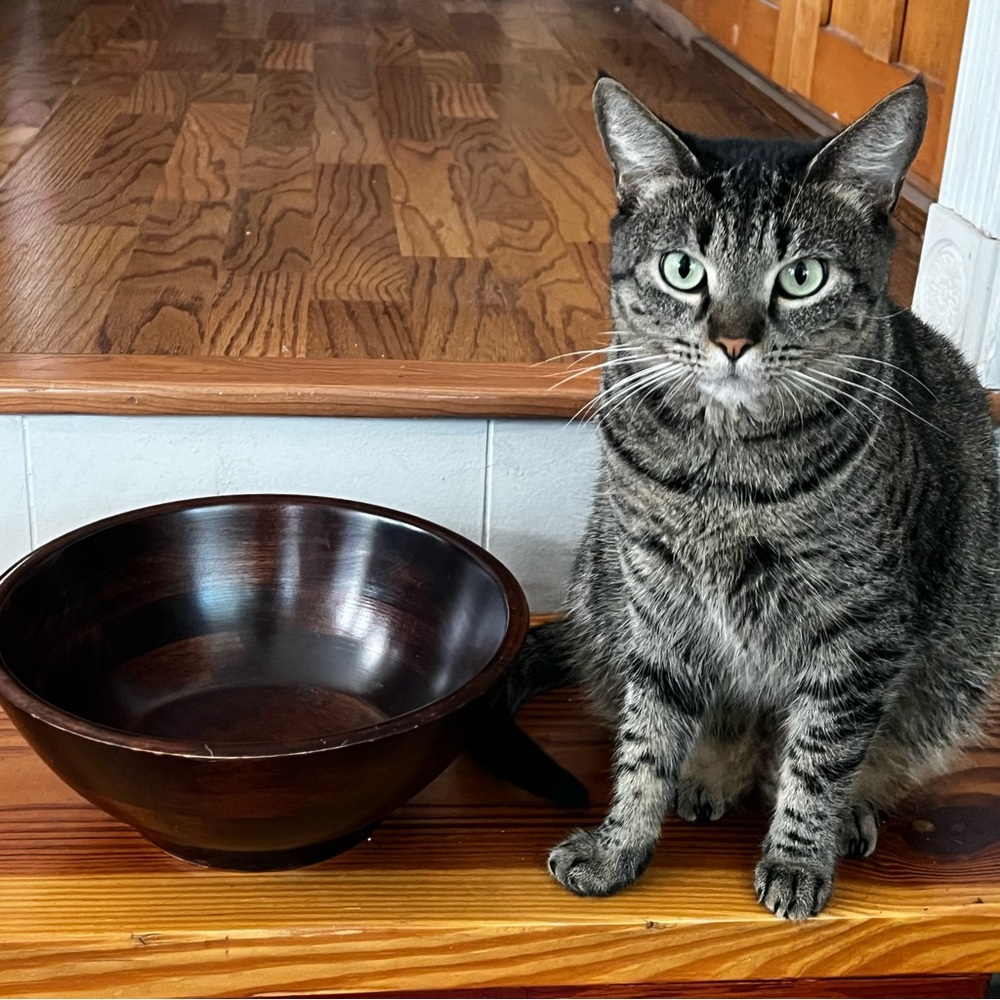 Elegant Dark Wood Bowl